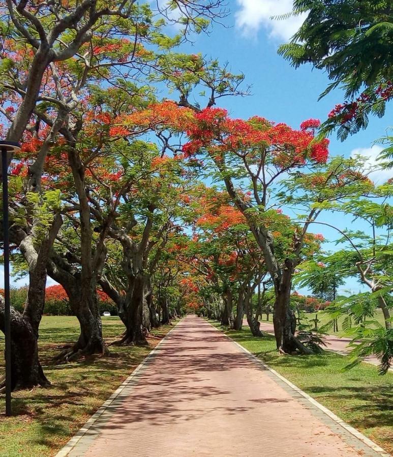 Villa Alexis - Location de vacances à Trou aux Biches Esterno foto